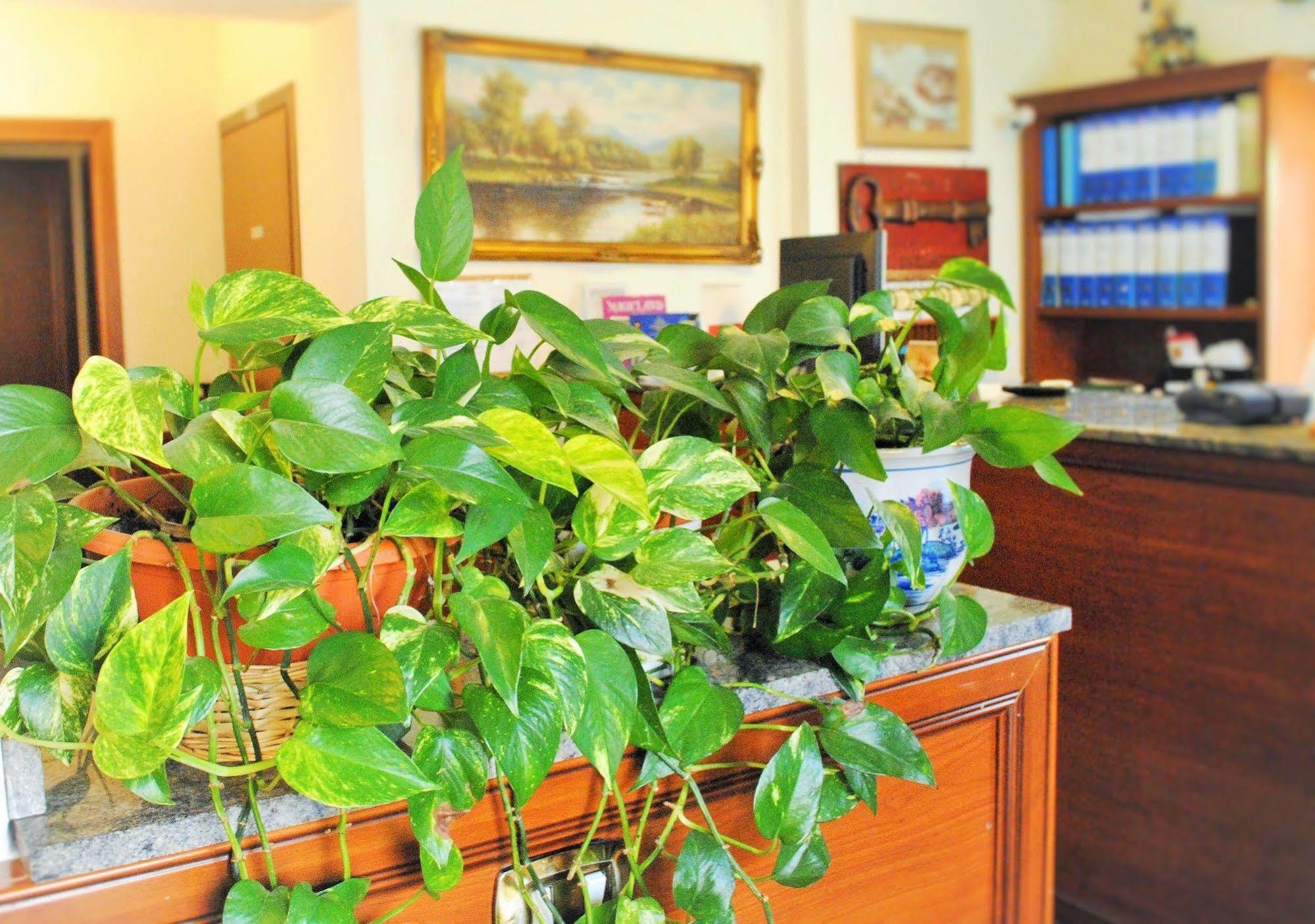 Hotel Octavia Rome Extérieur photo